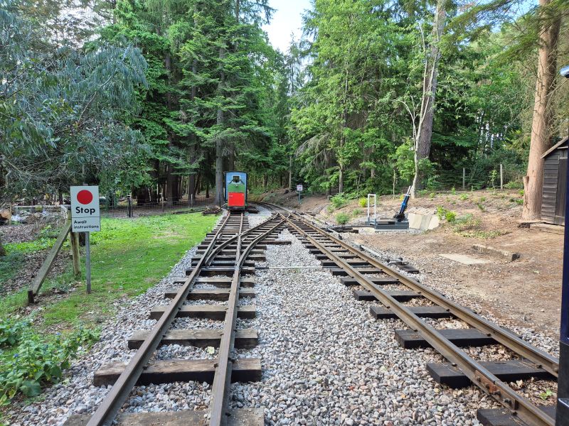 Mills Wood Loop Extension