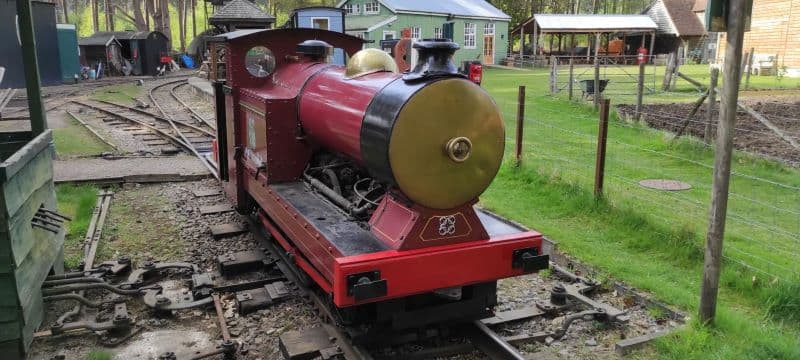 No.  1769 'Altonia'